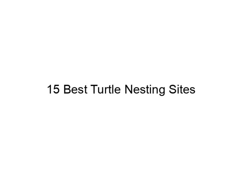15 best turtle nesting sites 29939