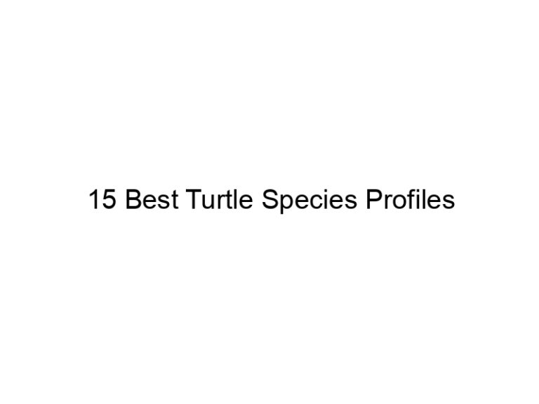 15 best turtle species profiles 29953