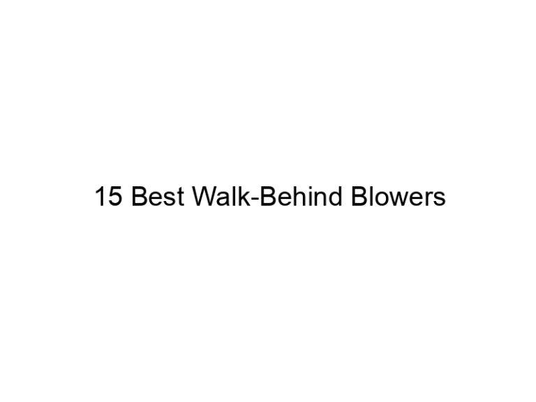 15 best walk behind blowers 20652