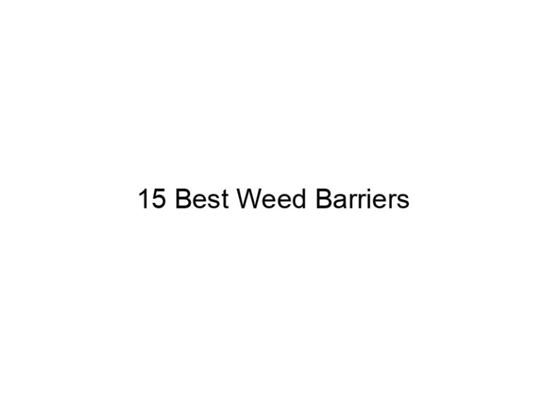 15 best weed barriers 20320