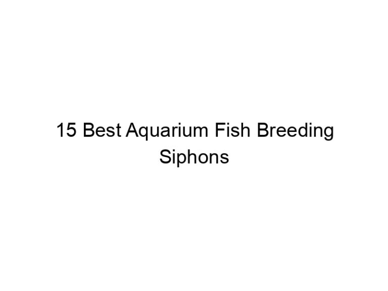 15 best aquarium fish breeding siphons 36439