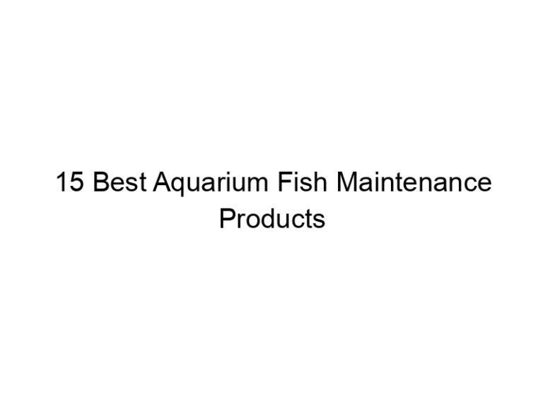 15 best aquarium fish maintenance products 36433
