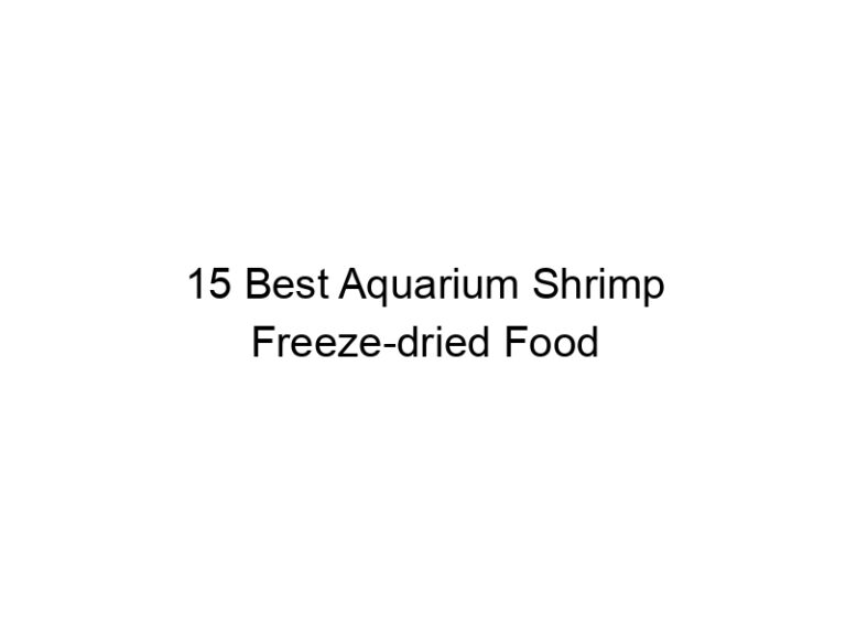 15 best aquarium shrimp freeze dried food 36461