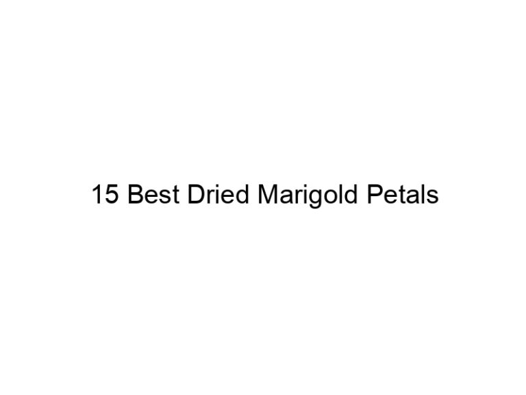 15 best dried marigold petals 31357