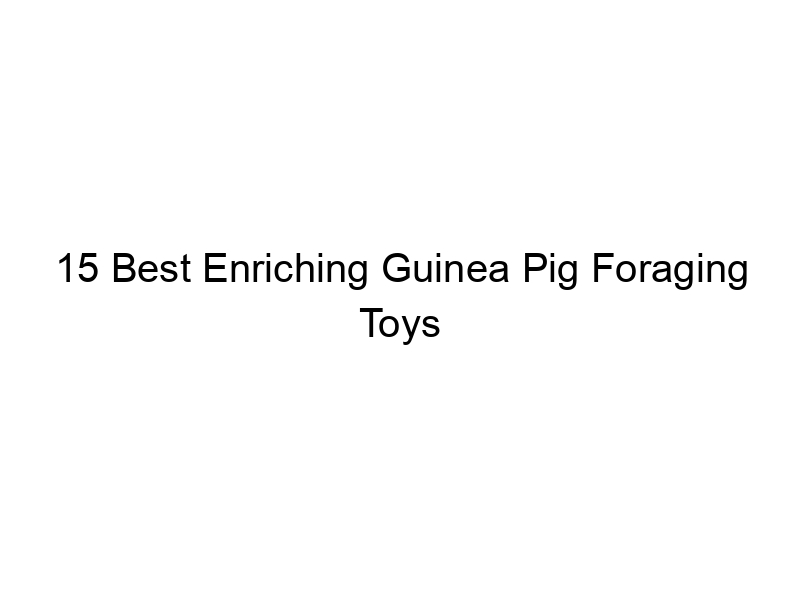 15 Best Enriching Guinea Pig Foraging Toys April 2024