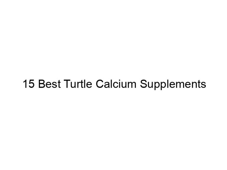 15 best turtle calcium supplements 29956