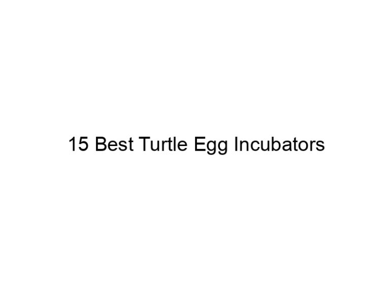 15 best turtle egg incubators 29950