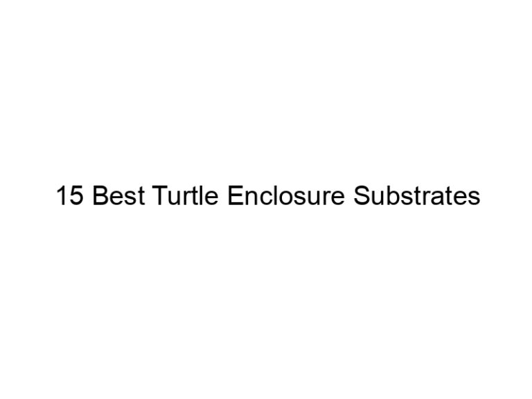 15 best turtle enclosure substrates 29967