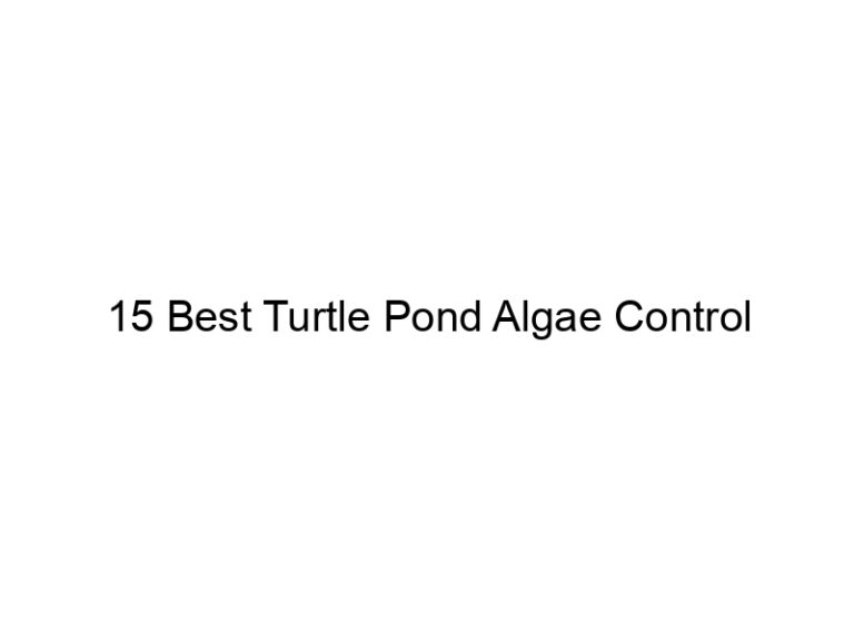 15 best turtle pond algae control 29995