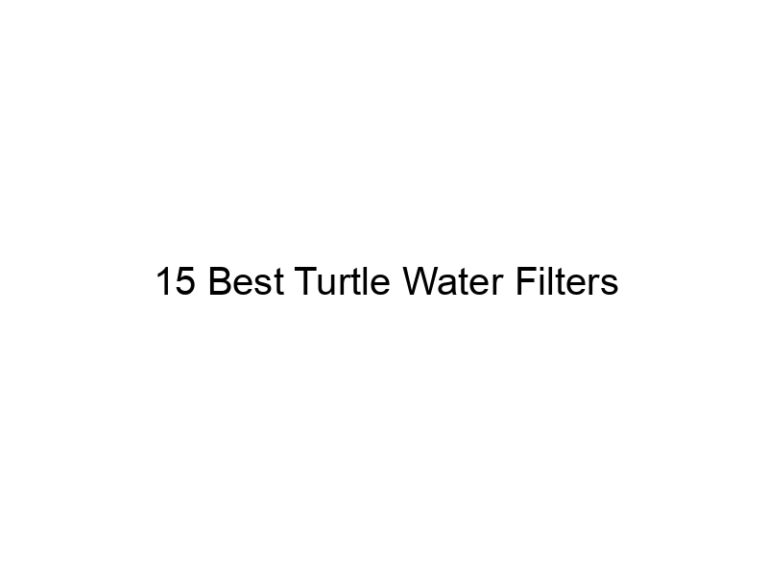 15 best turtle water filters 29940