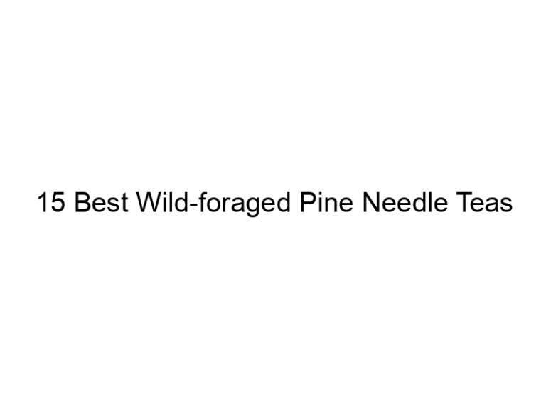 15 best wild foraged pine needle teas 30029