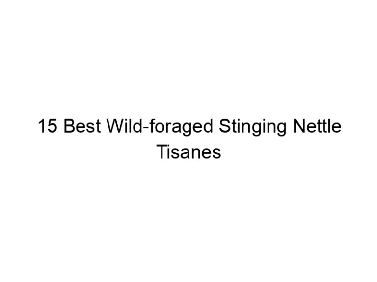 15 best wild foraged stinging nettle tisanes 30244