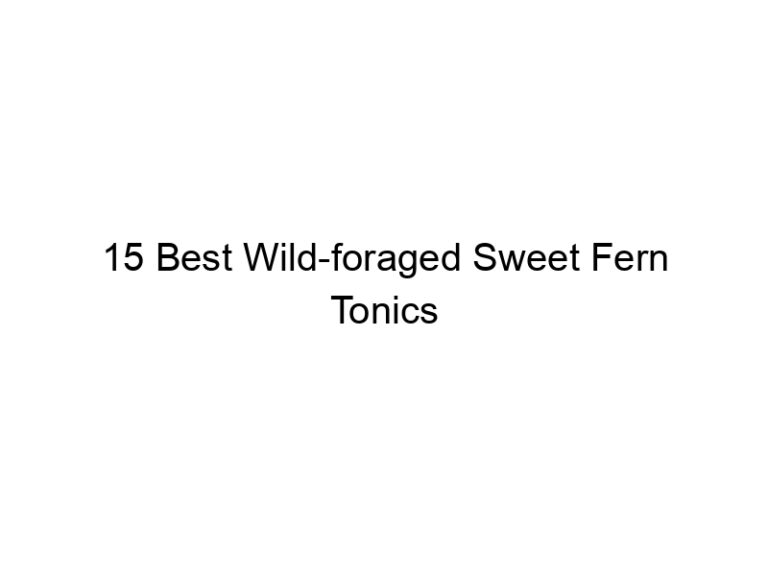15 best wild foraged sweet fern tonics 30332