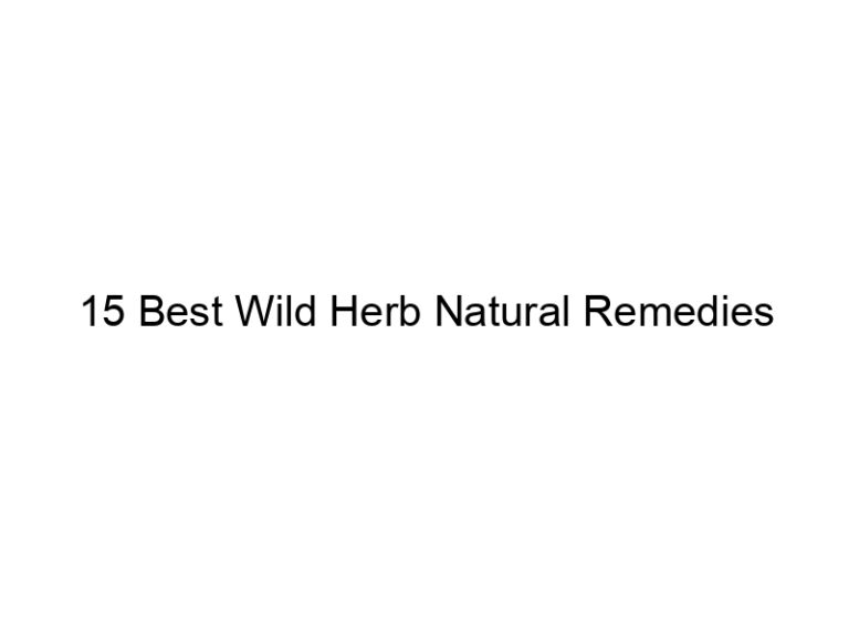 15 best wild herb natural remedies 30168