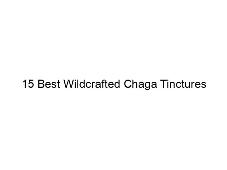 15 best wildcrafted chaga tinctures 30019