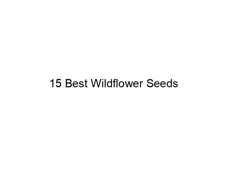 15 best wildflower seeds 31700