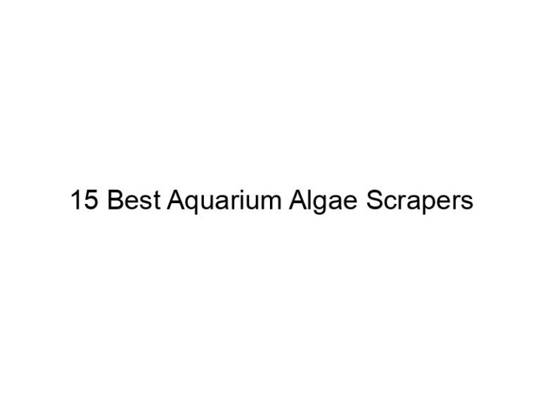 15 best aquarium algae scrapers 36350