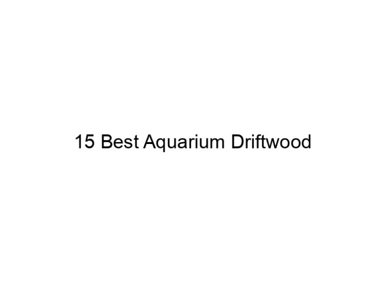 15 best aquarium driftwood 36382