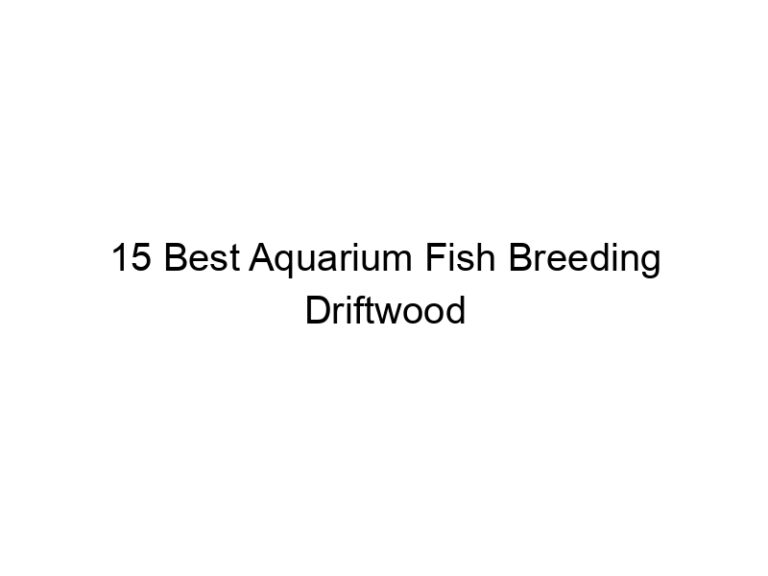 15 best aquarium fish breeding driftwood 36444