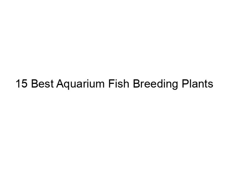 15 best aquarium fish breeding plants 36443