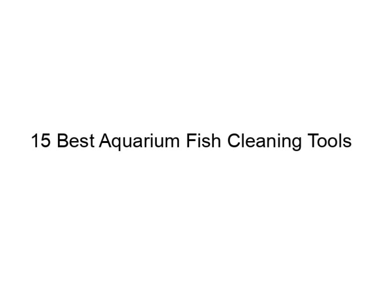 15 best aquarium fish cleaning tools 36432