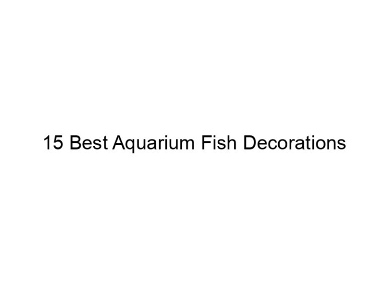 15 best aquarium fish decorations 36412