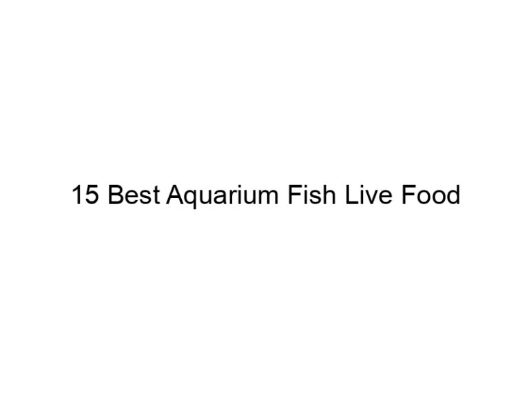 15 best aquarium fish live food 36399