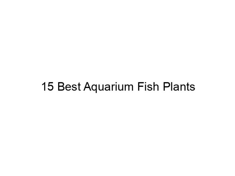 15 best aquarium fish plants 36415
