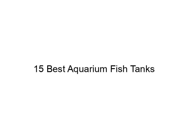 15 best aquarium fish tanks 36407