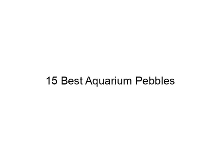 15 best aquarium pebbles 36385
