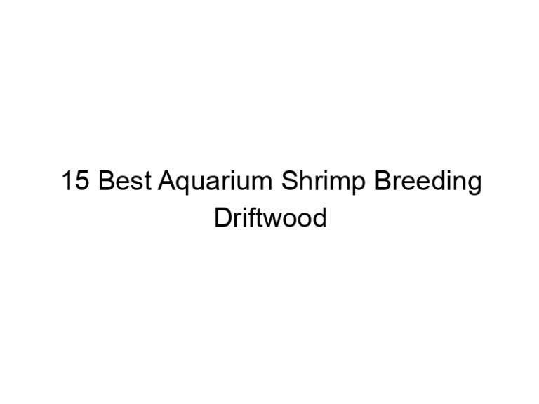 15 best aquarium shrimp breeding driftwood 36508
