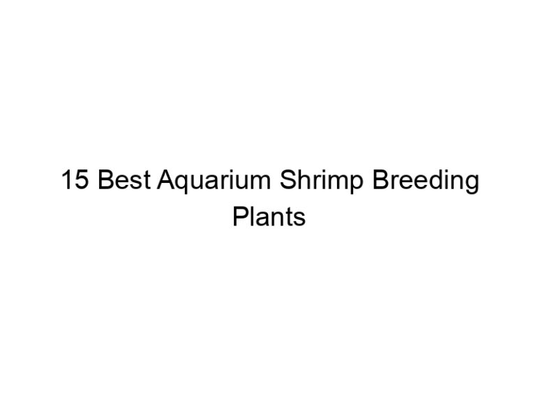 15 best aquarium shrimp breeding plants 36507
