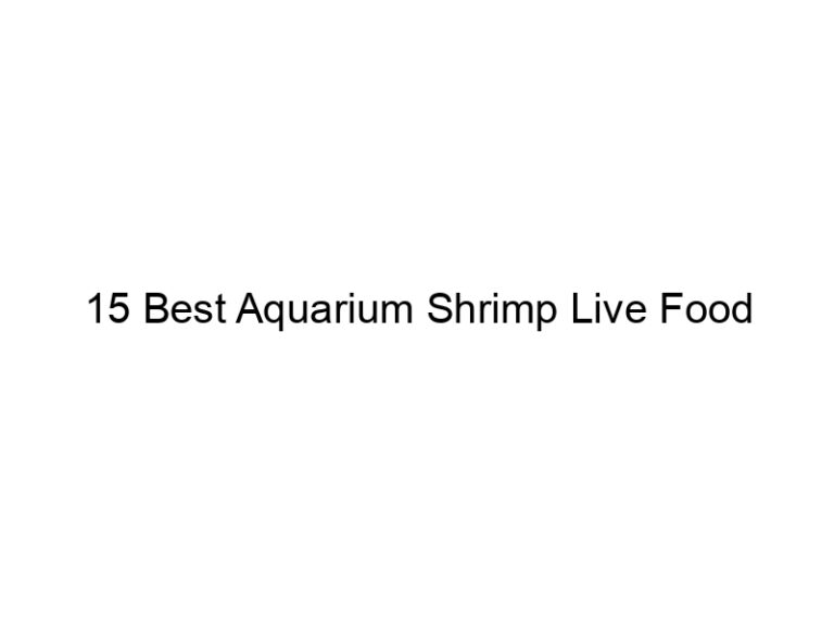 15 best aquarium shrimp live food 36463