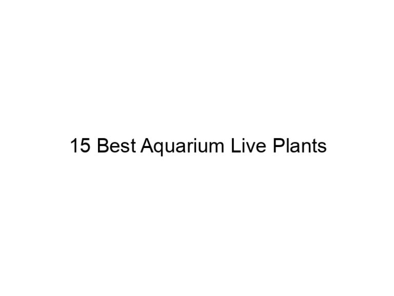 15 best aquarium live plants 36387